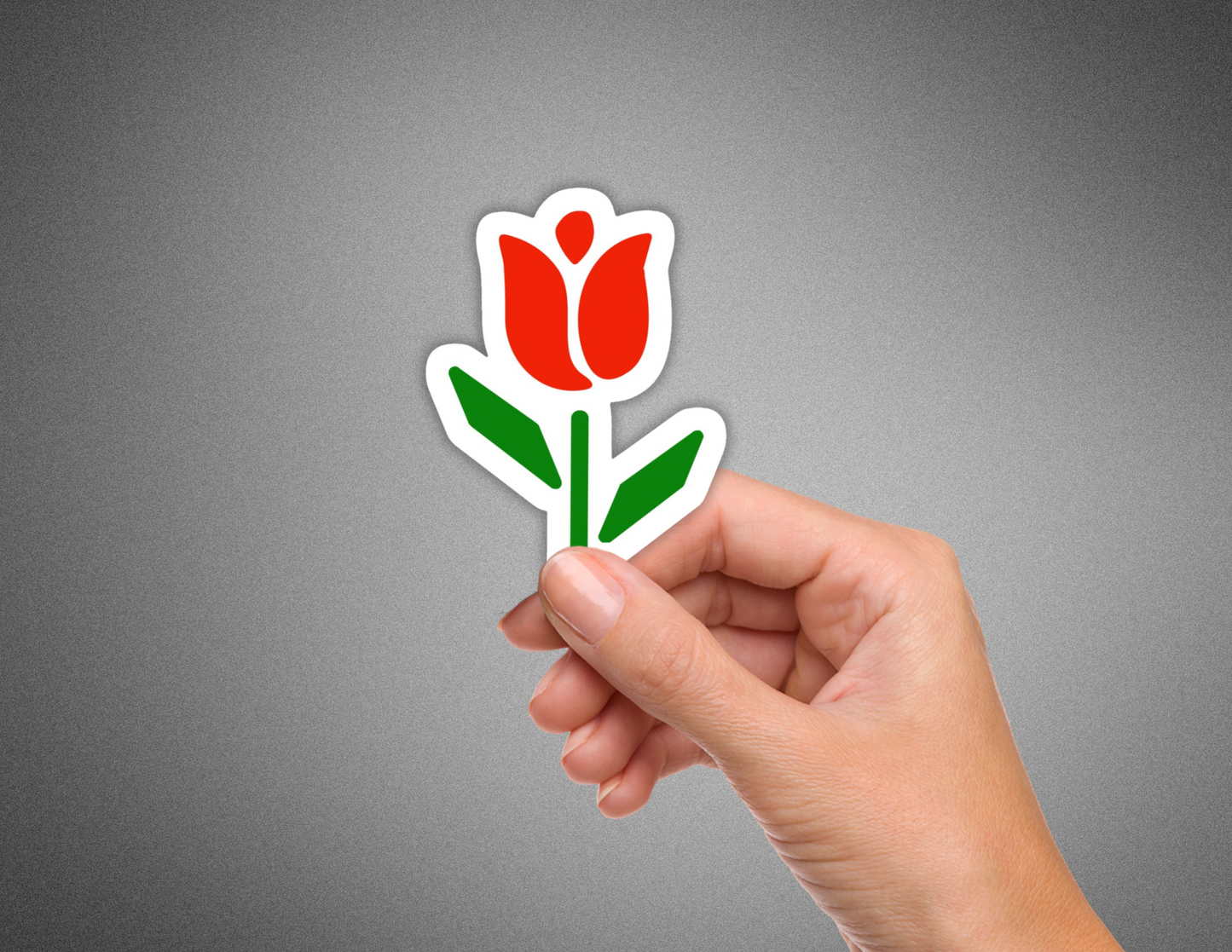 Tulip