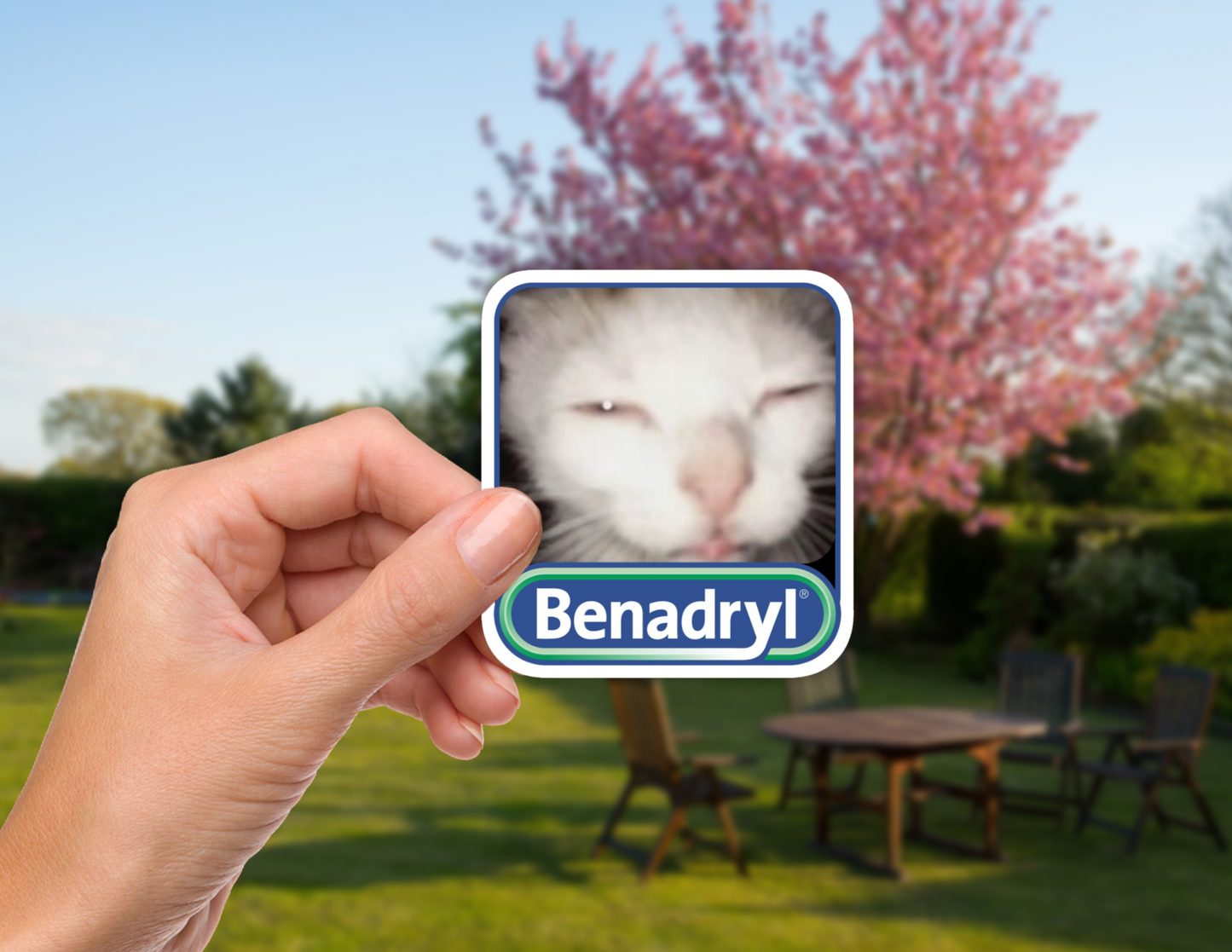 Benadryl Cat