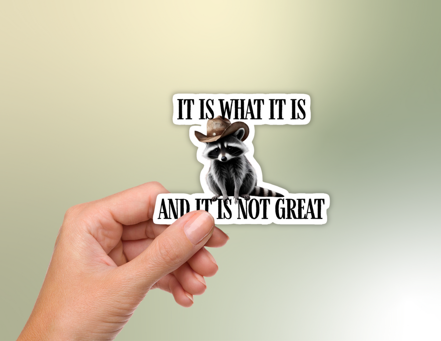 It is What it is Raccoon