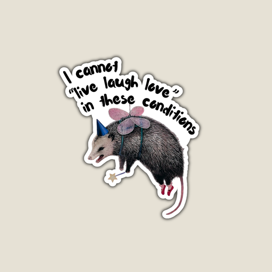 Fairy Godpossum