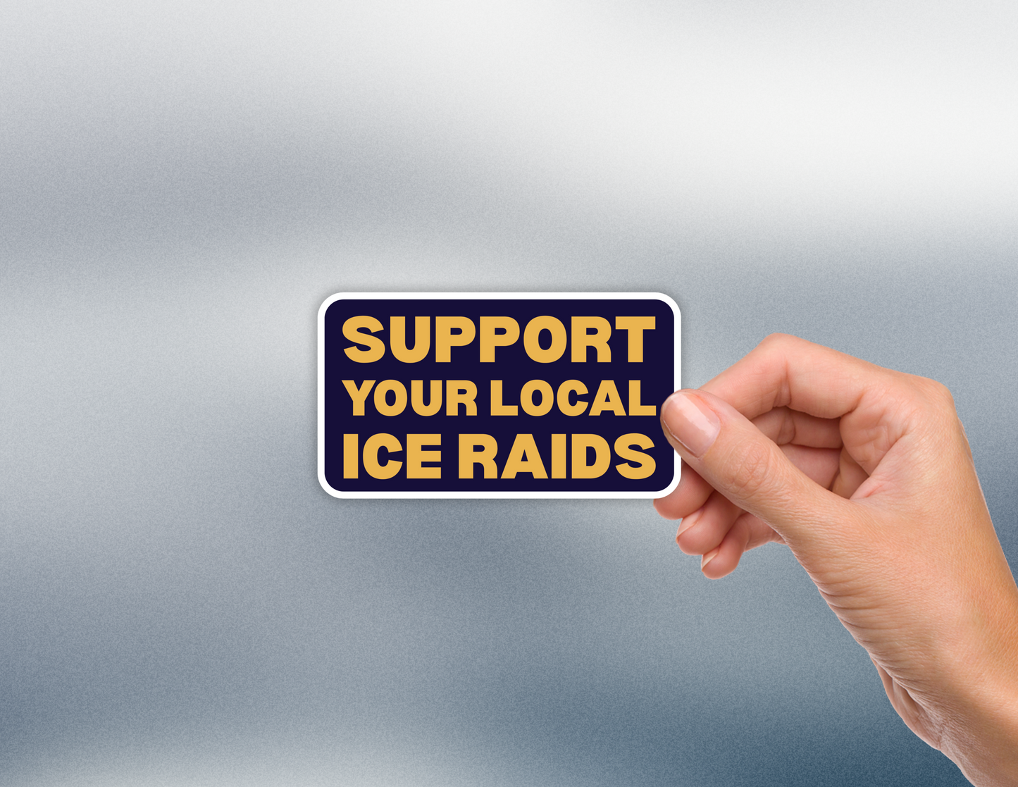Support Your Local ICE Raids