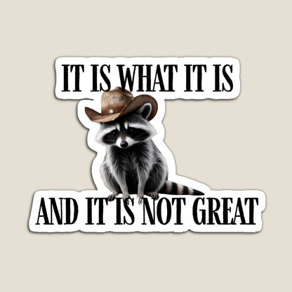 It is What it is Raccoon