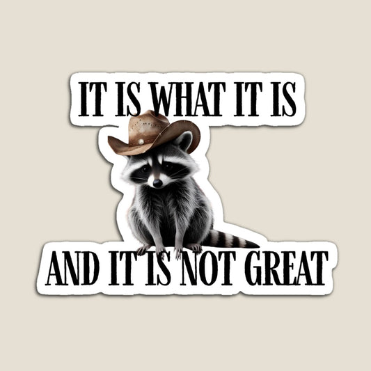 It is What it is Raccoon