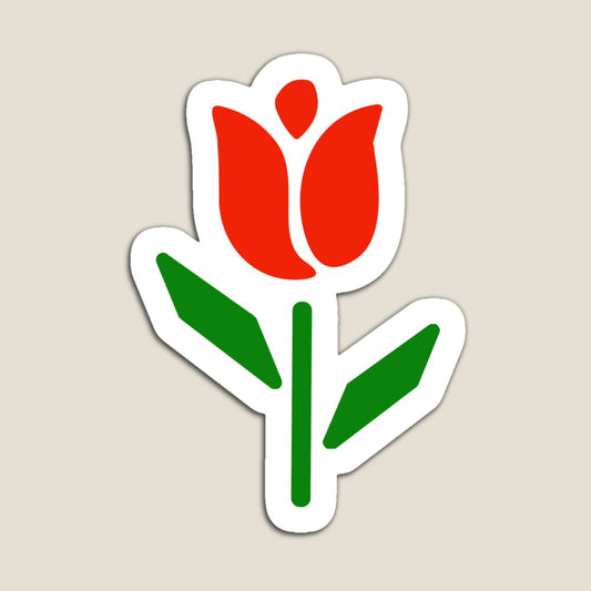Tulip